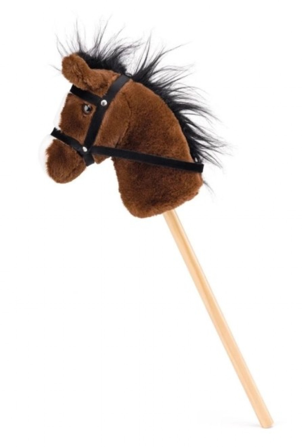 obrazek1.jpg